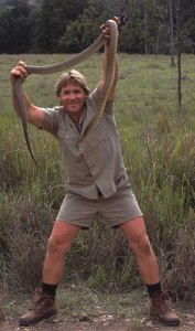 ode to steve irwin