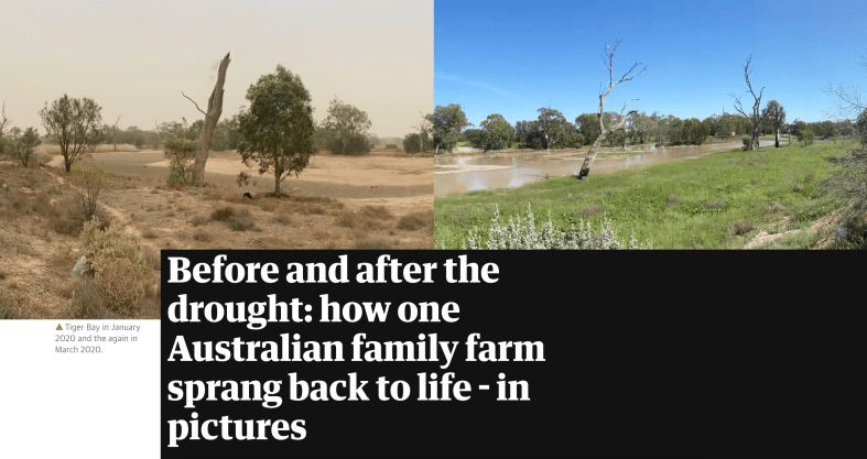 Screen Shot 2020-07-01 at 9.49.02 pm